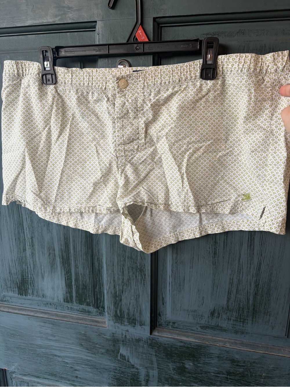 aerie Cream & Light Green Printed Sleep Shorts